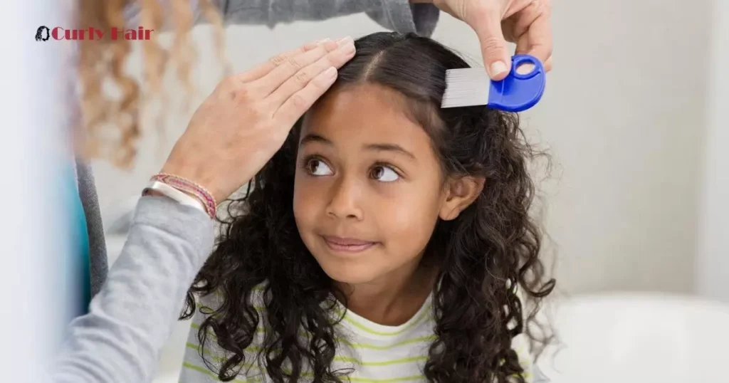 Lice Treatment For Thick Curly Hair