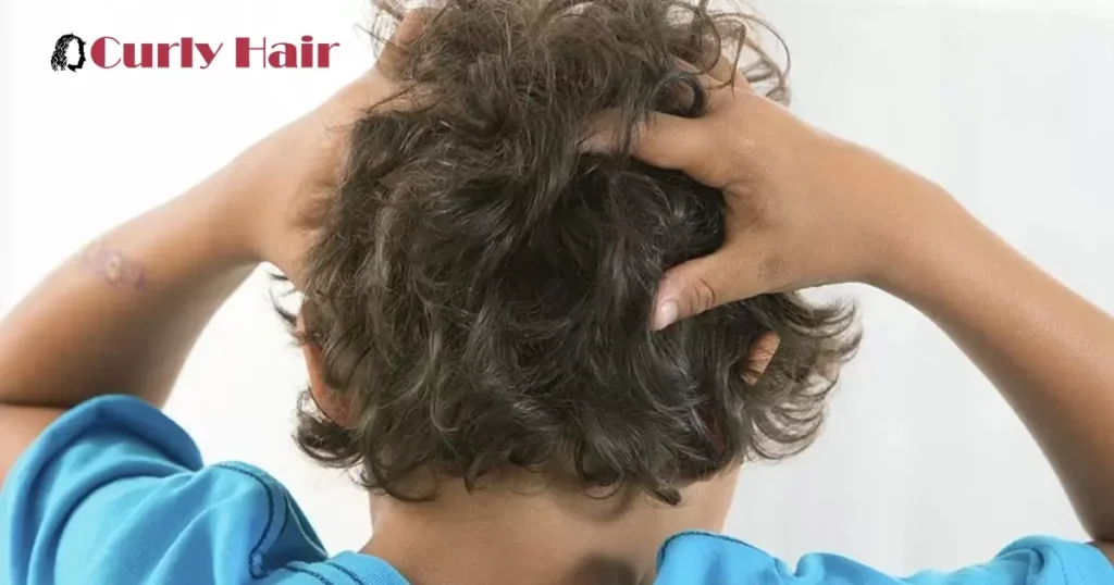 More Difficult To Get Rid Of Head Lice