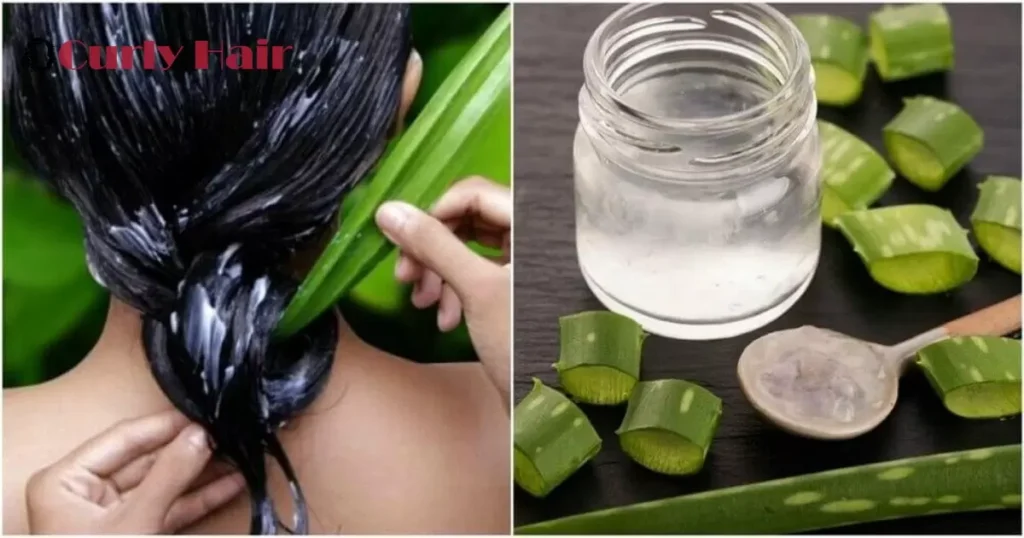 Benefits Of Aloe Vera For Hair