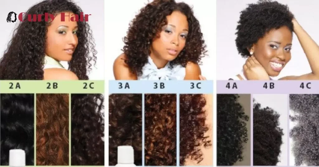 Choose Products For Curl Type