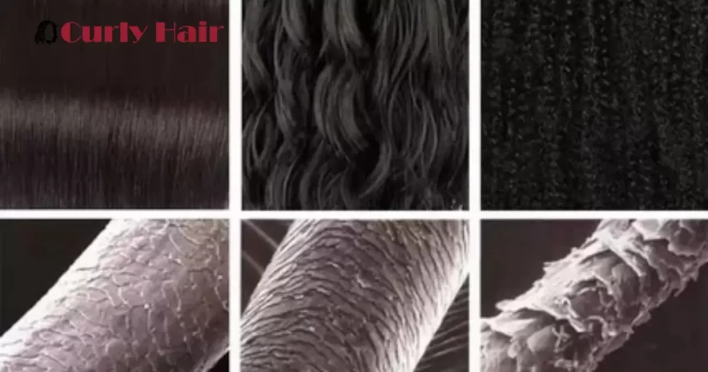 Understanding Hair Porosity