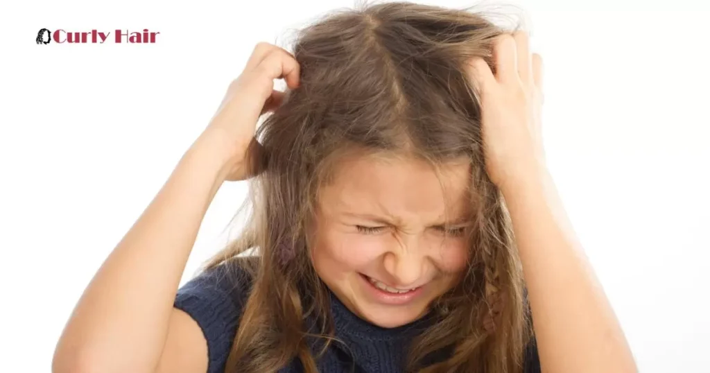 Symptoms Of Head Lice