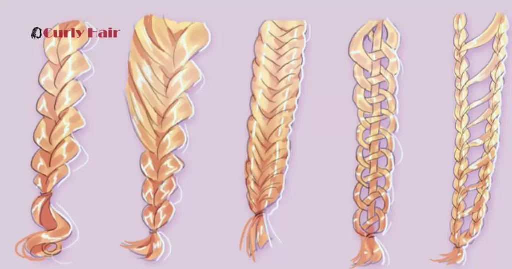 Types Of Celtic Braids