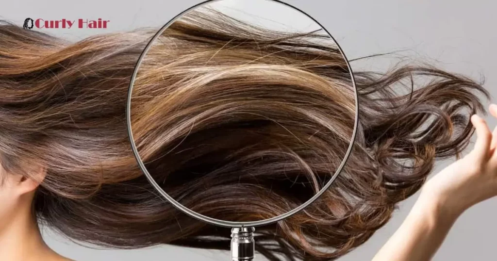 Understanding Hair Structure