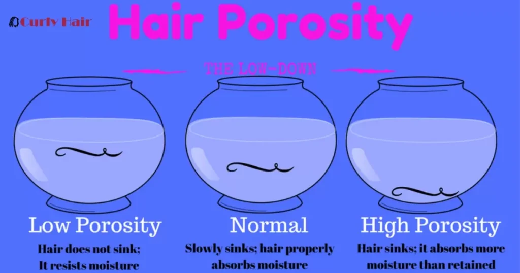 Hair Porosity And Elasticity