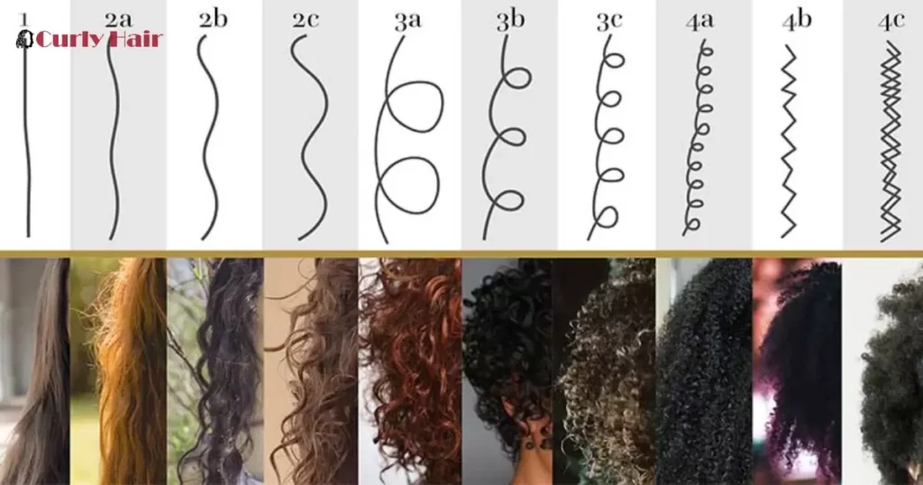 Types Of Curly Cuts