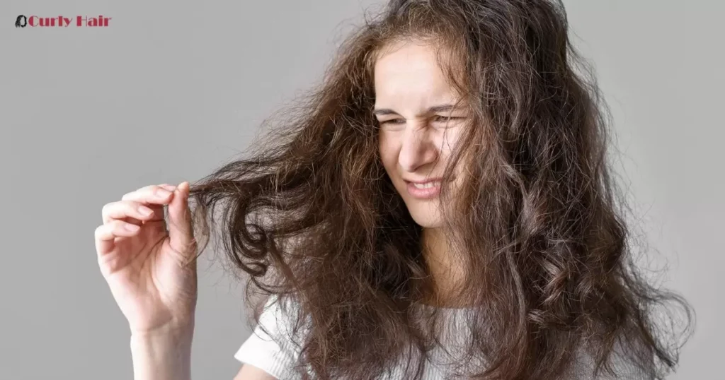 Identifying Frizzy Hair Causes