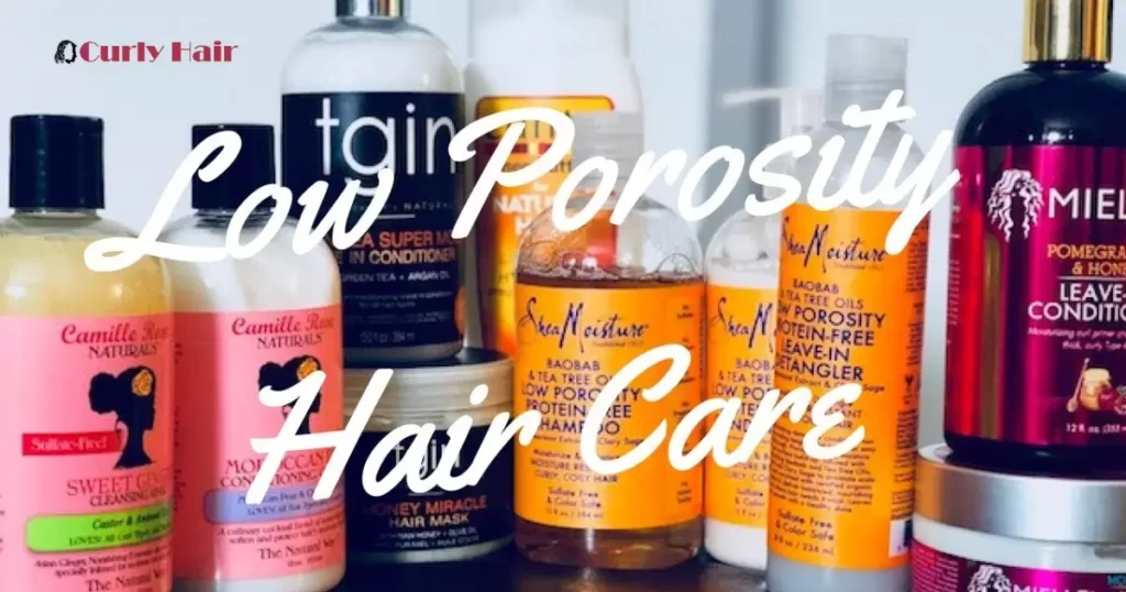 Shampoo For Low-Porosity Hair