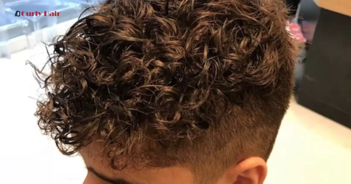 Type 3 Curly Hair Male Hairstyles