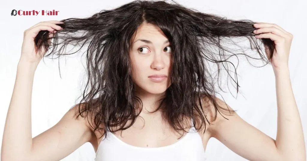 Common Causes of Dry Hair in Curly Hair Types