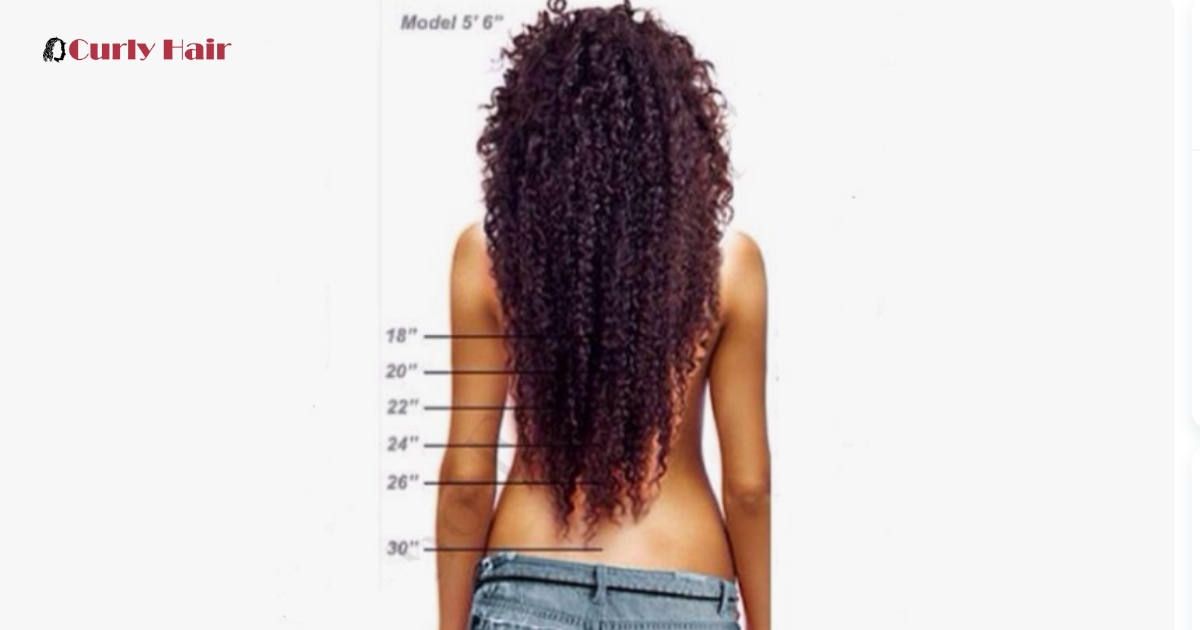 Curly Hair Length Chart