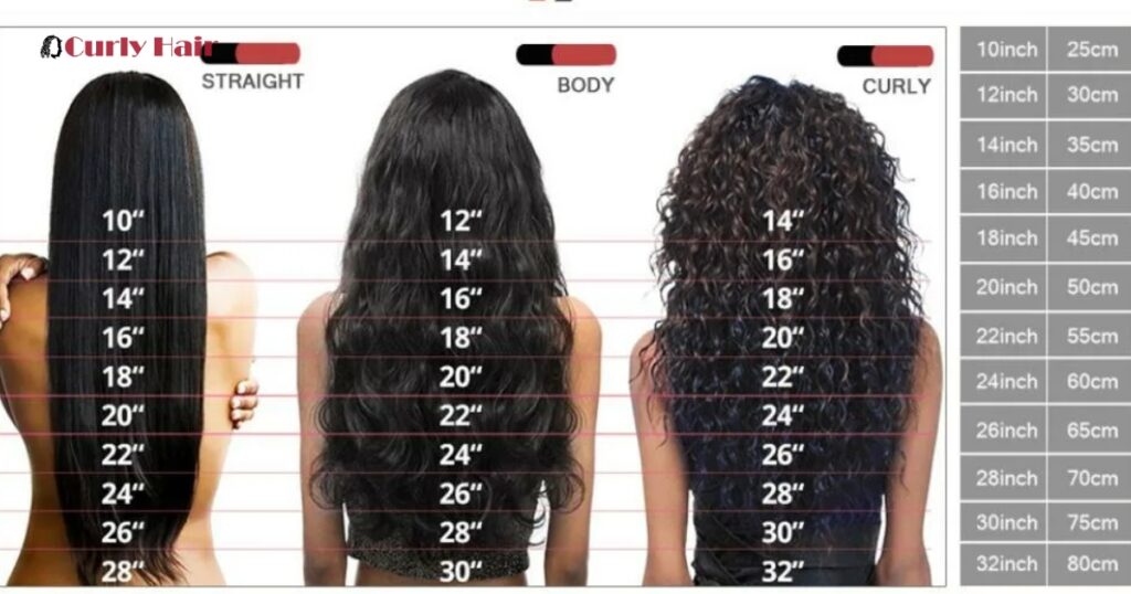 The Curly Hair Length Guide