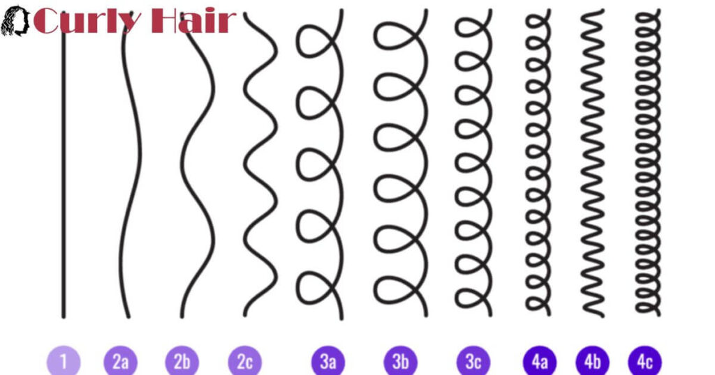 what is 3c curly hair?