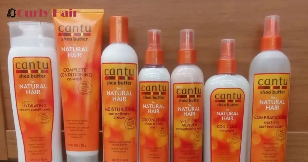 Apply a Moisturizing Conditioner or Detangler