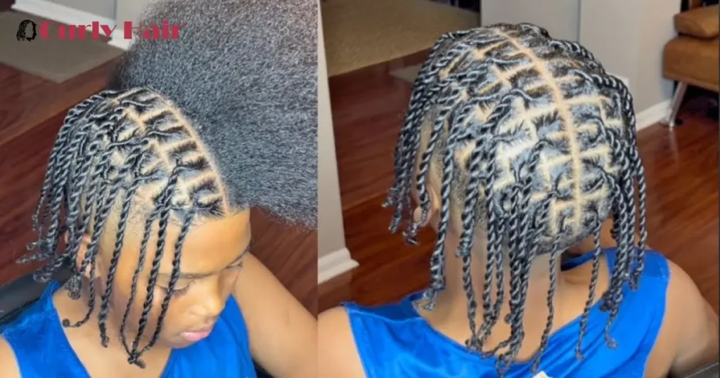 Two-Strand Twist Locs